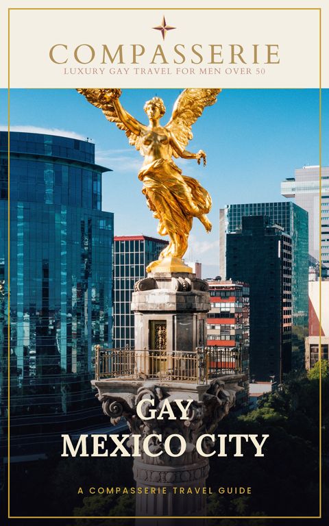 Cover of Gay Mexico City
